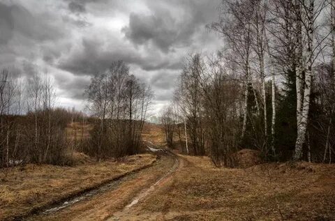 Дни стояли пасмурные однако теплые