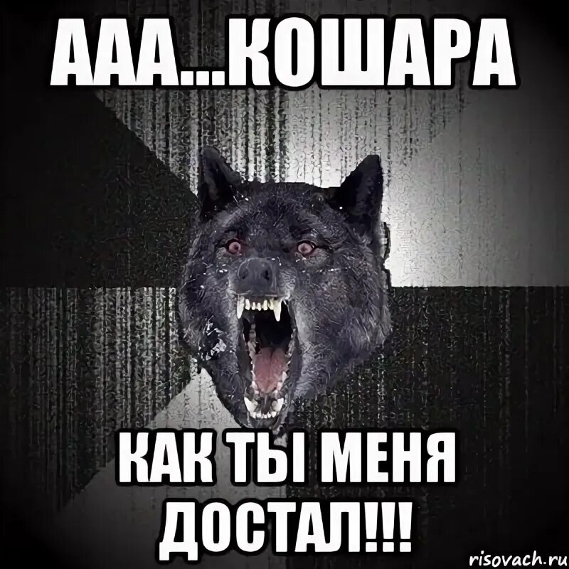 Ютуб достала