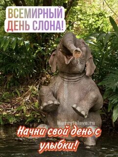 Всемирный день слонов 12 августа