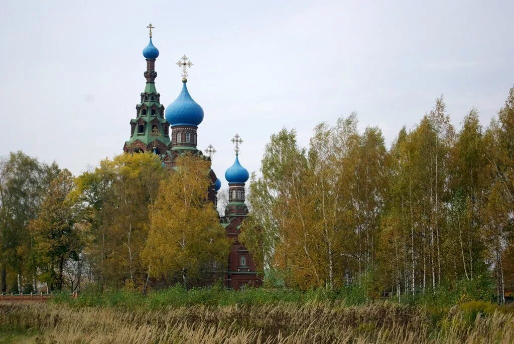храм покрова в черкизове. храм в тарасовке пушкинский район. черкизовский храм пушкинского района. храм в черкизово пушкинский район. покровский храм пос черкизово.