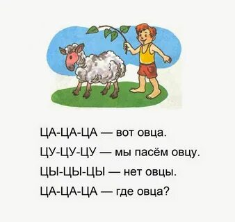 Слова з буквою ц