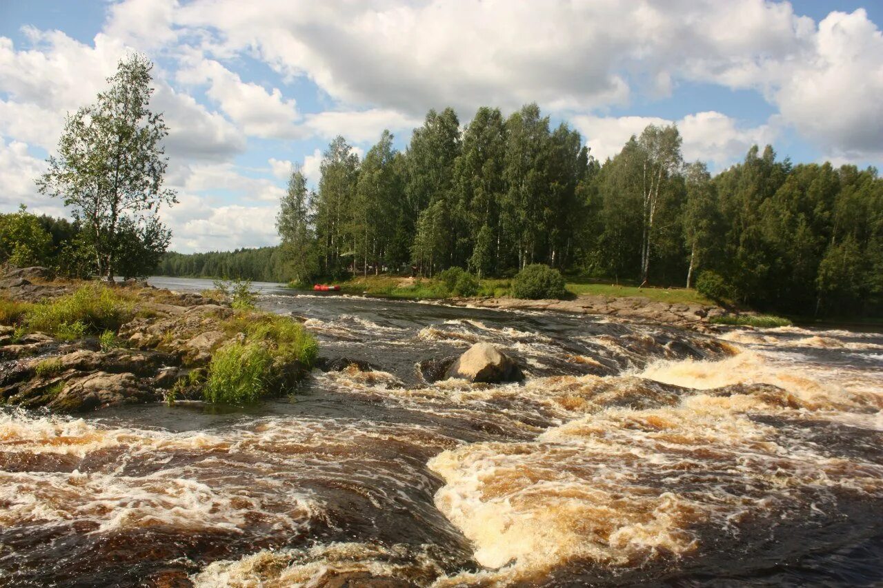 Шуя (река, впадает в логмозеро) реки карелии. Исток реки шуя в карелии. Река чирка-кемь карелия. Карельская река шуя. Чирка-кемь река.