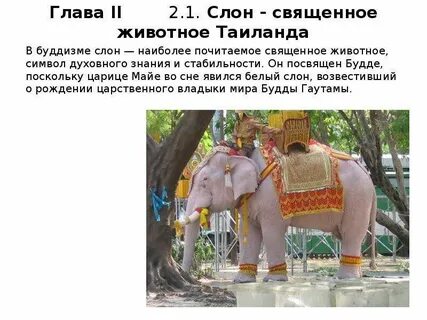 Значение слонов