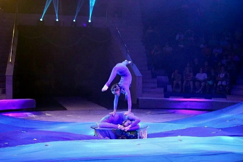 Танцевальный батл 2021. Музыкальное шоу на тнт. Надежда щербакова цирк тула. Тульский цирк легенда. Цирк ронкалли в берлине.