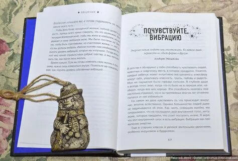 Внутренний голос книги