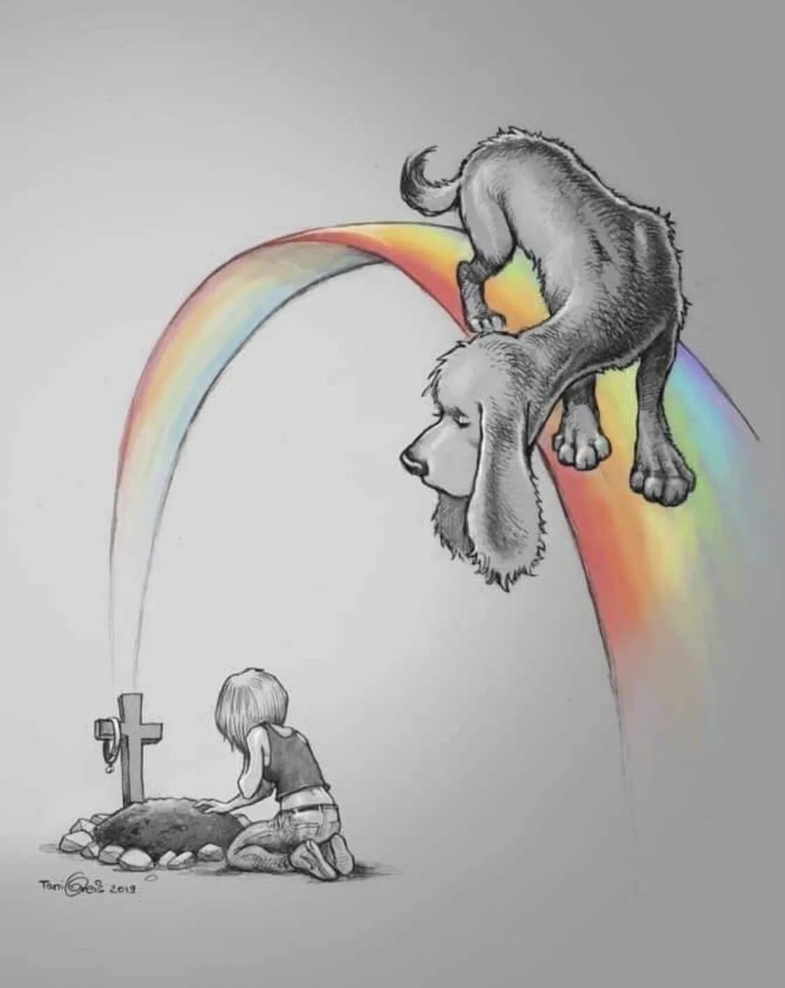 Ушел питомец. Ушел питомец