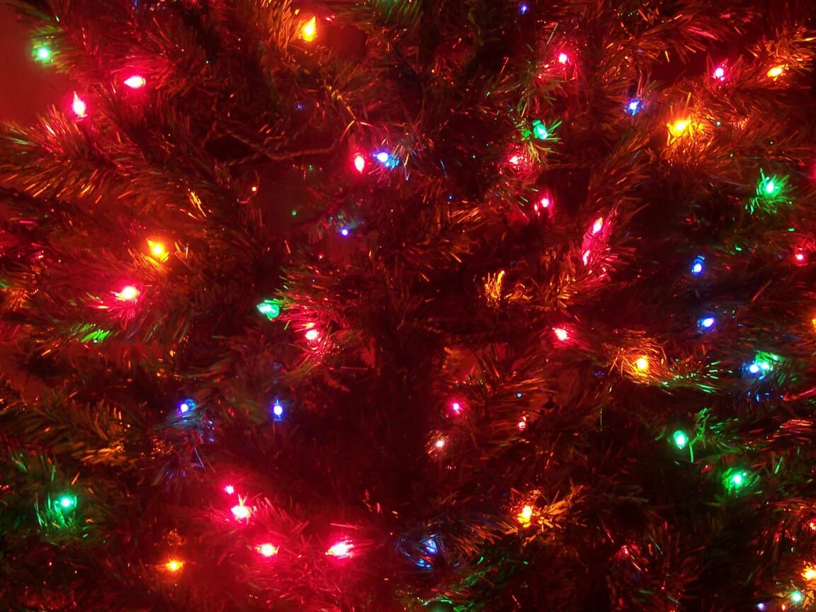Ели гирлянды. Уличная новогодняя елка. Новогодние огни. Новогодняя елка с гирляндой. Новогодняя елка с огоньками.