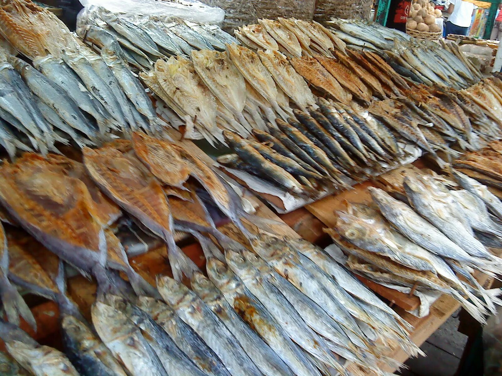 Какую рыбу лучше посолить