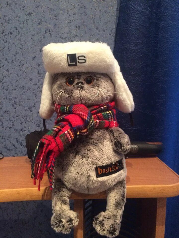 Басик в ушанке loud sound. Кот саунд. Кот саунд. Loud sound ls басик. Басик игрушка лаунж саунд.