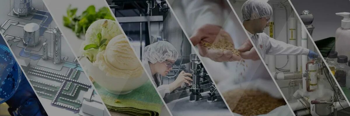 Технология продуктов питания из растительных. Биотехнология пищевых продуктов. Пищевая промышленность. Сырье для пищевой промышленности. Биотехнологии в пищевой промышленности.