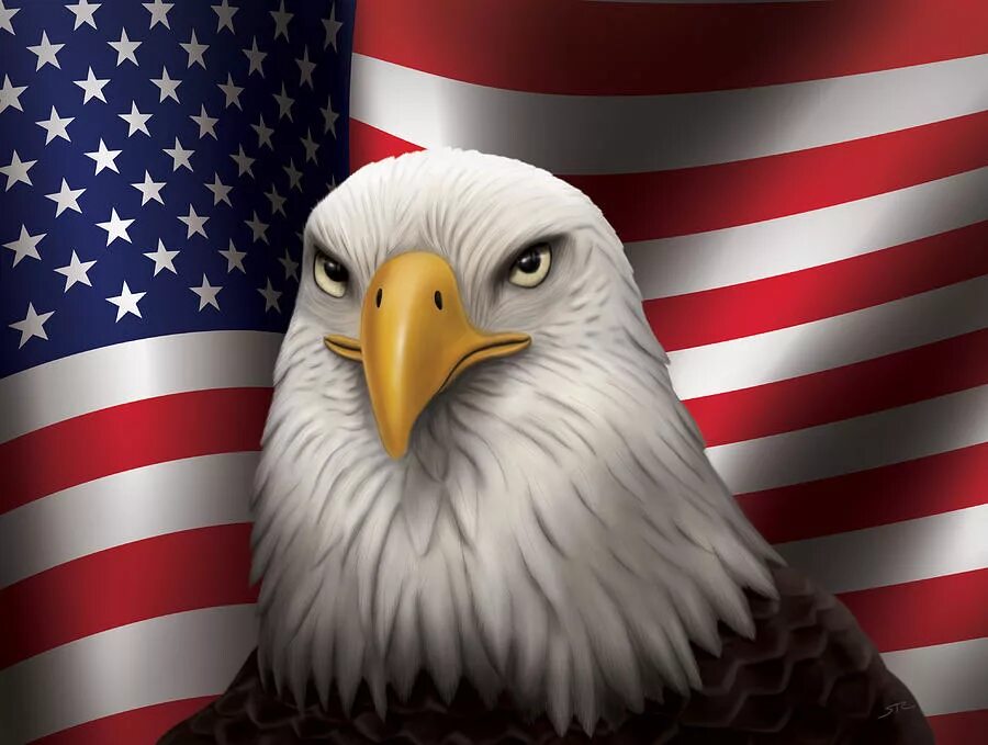 Белоголовый Орлан США. Белоголовый Орлан символ США. Белоголовый орёл символ Америки. Белоголовый Орлан на гербе США. Звук орла америка