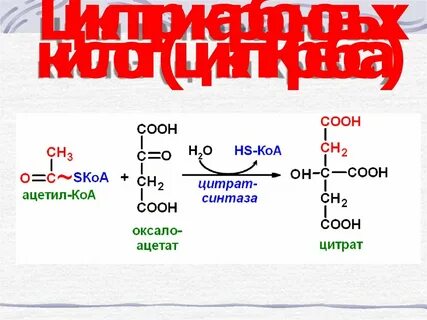 Ацетил