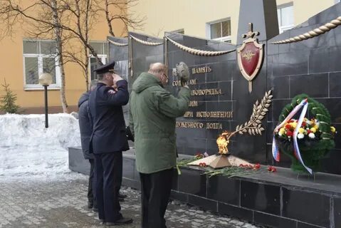 Год рождения мурманск