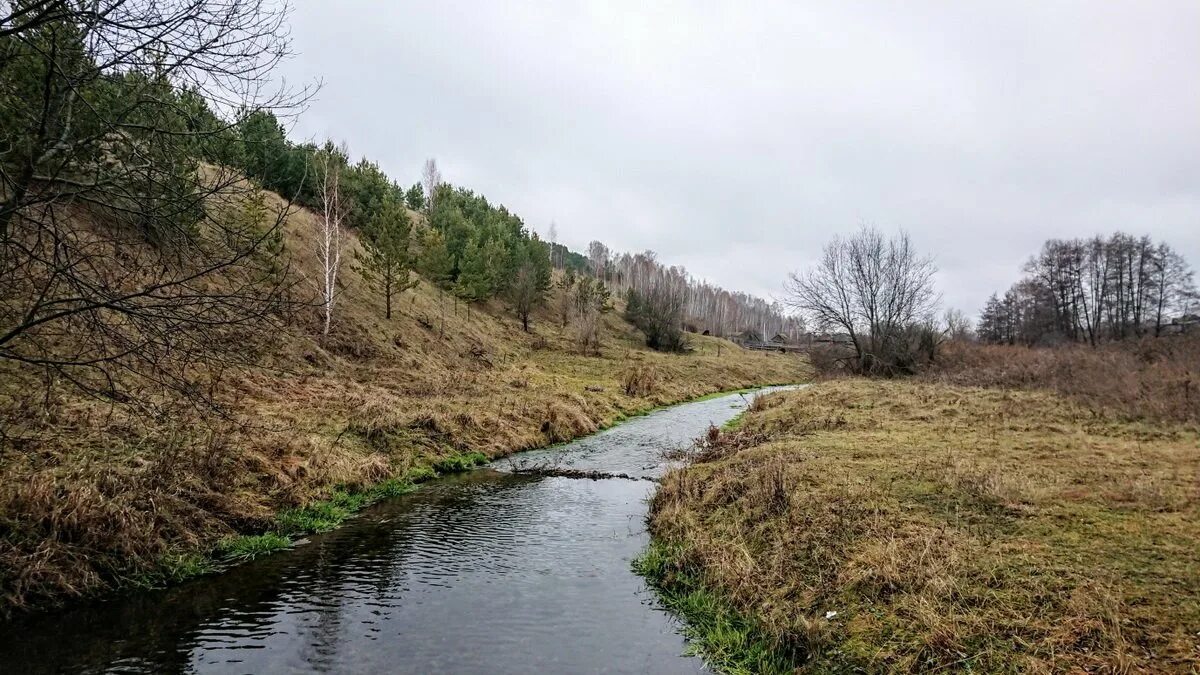 Родник томыловский. Погода село томылово ульяновская область. Погода село томылово ульяновская область. Село томылово. Погода село томылово ульяновская область.