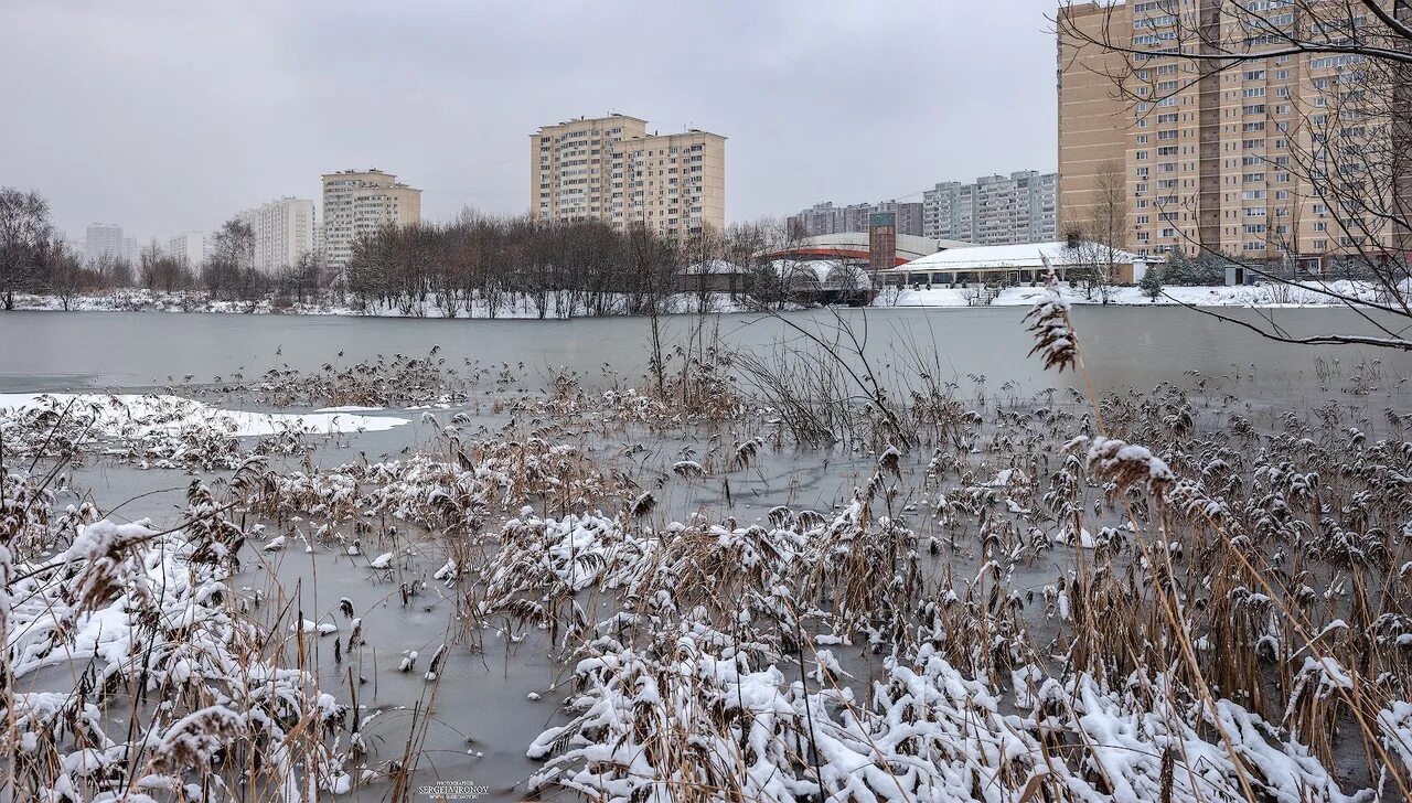 Тонко мытищи. Ул колпакова 10 мытищи. Город мытищи московской области. Тонко мытищи. Парк яуза мытищи.