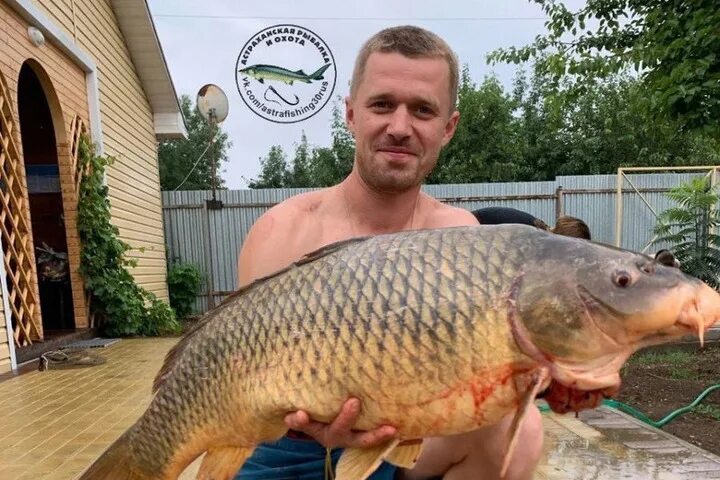 Карп 50,200 World records, Strange photos, Carp