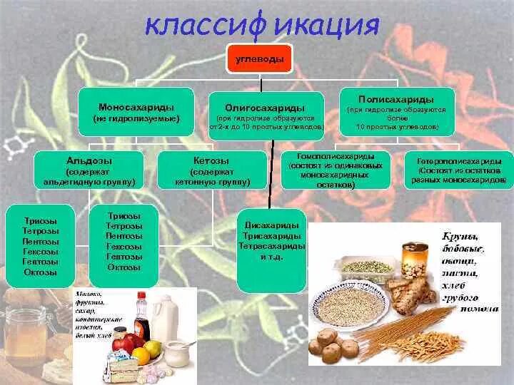К углеводам относятся тест