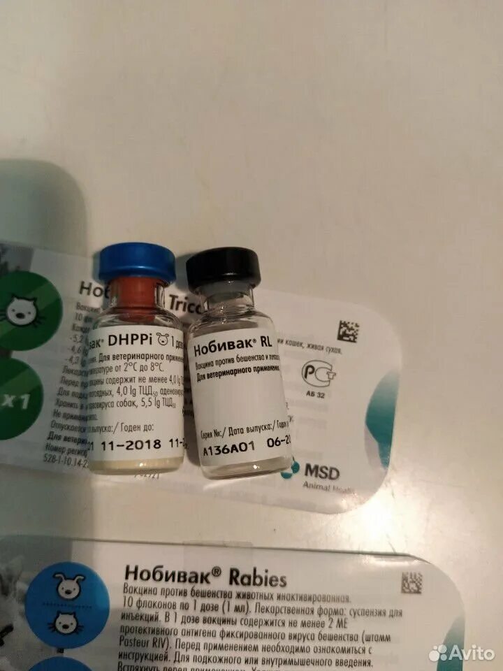 Dhppi для собак. Dhppi для собак. Нобивак dhppi+l. Dhppi для собак. Dhppi вакцина для собак.