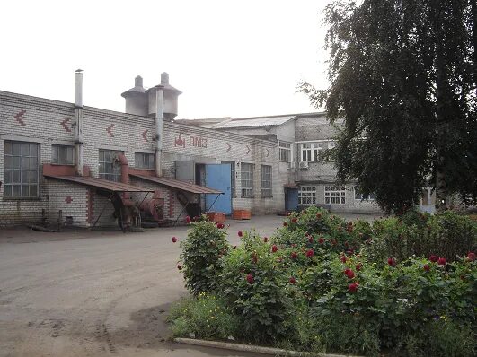 уральский литейный завод челябинск. оао литейно механический завод. логотип лмз литейно механический завод. завод лмз ногинск. сертификат на грант.