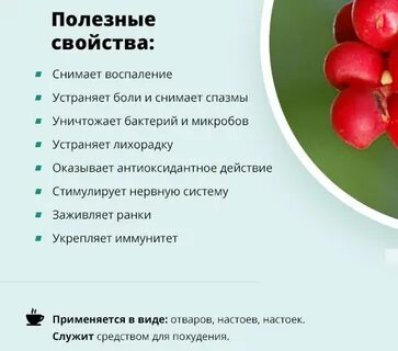 Лимонник полезные свойства
