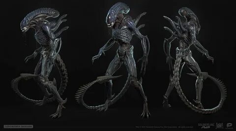 ArtStation - Xenomorph warrior , Stanislav Ostrikov Alien Vs Predator, Fant...