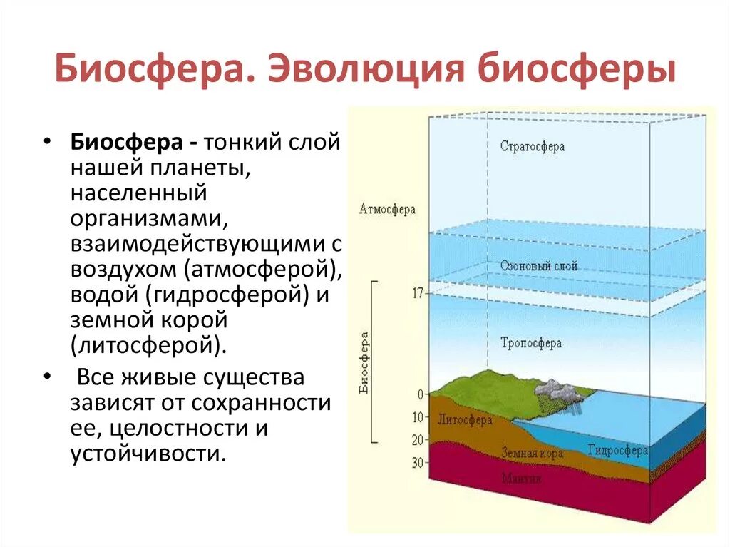 Биосфера и человек 11 класс. Биосфера Эволюция биосферы. Возникновение биосферы схема. Понятие о биосфере. Эволюция биосферы. Структура биосферы и ее границы.