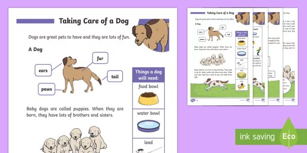 Take Care of Pets Worksheet. Taking Care of Pets Worksheets. Take Care of Pet. Презентация take Care of Pets. Pet rules