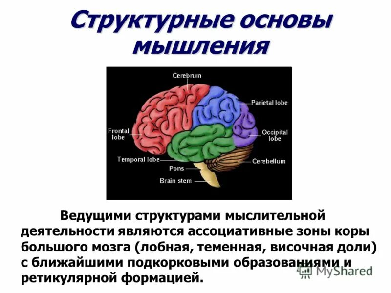Ассоциативные системы