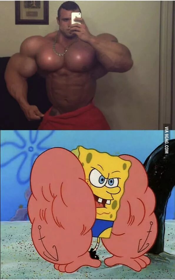 Мем мускулы