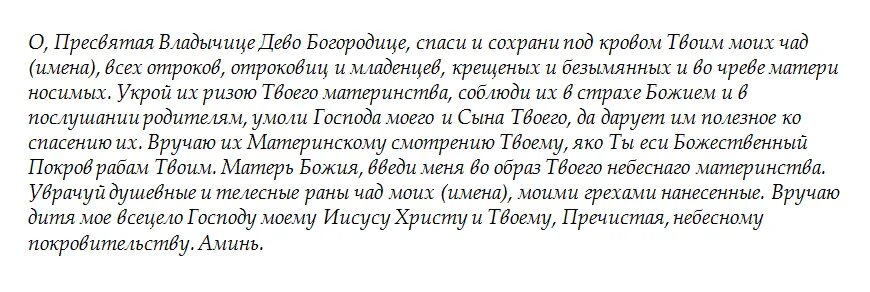 Пресвятая владычица дева богородица