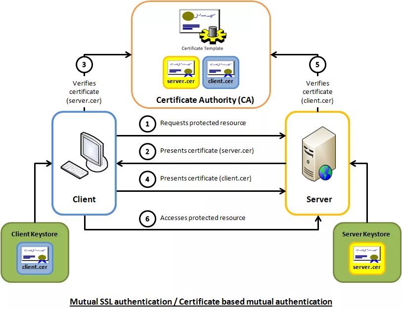 Схема протоколов SSL. SSL/TLS-аутентификация.. Схема аутентификации. SSL аутентификация клиента. Server cert