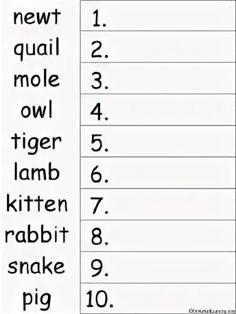 Then put them in alphabetical order. Put the words in alphabetical order. alphabetical order for kids. alphabetical order dictionary entries. put the words in alphabetical order for kids.