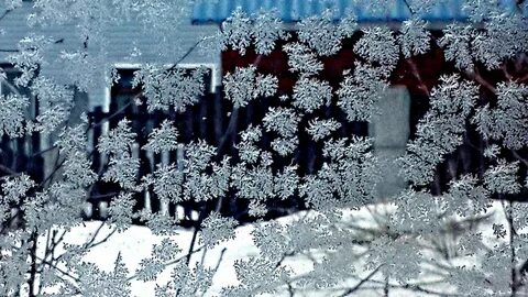 Окна покрылись инеем