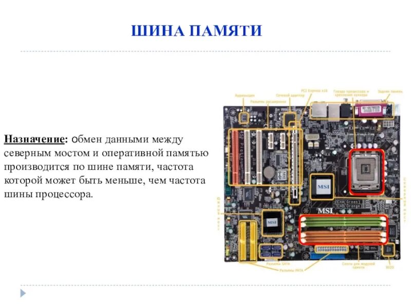 Частота шины памяти. Шина памяти процессора. Шина памяти предназначена для. Разрядность шины памяти видеокарты.