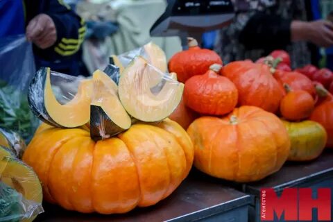 Первое тыквой