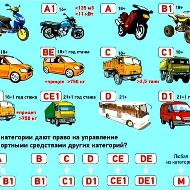 Со скольки можно получить. Категории водительских прав в1 с1 д1. Категории водительских прав а1,в1,с1. Категория м и м1 водительских прав что это. Подкатегории: a1, b1, c1, d1.