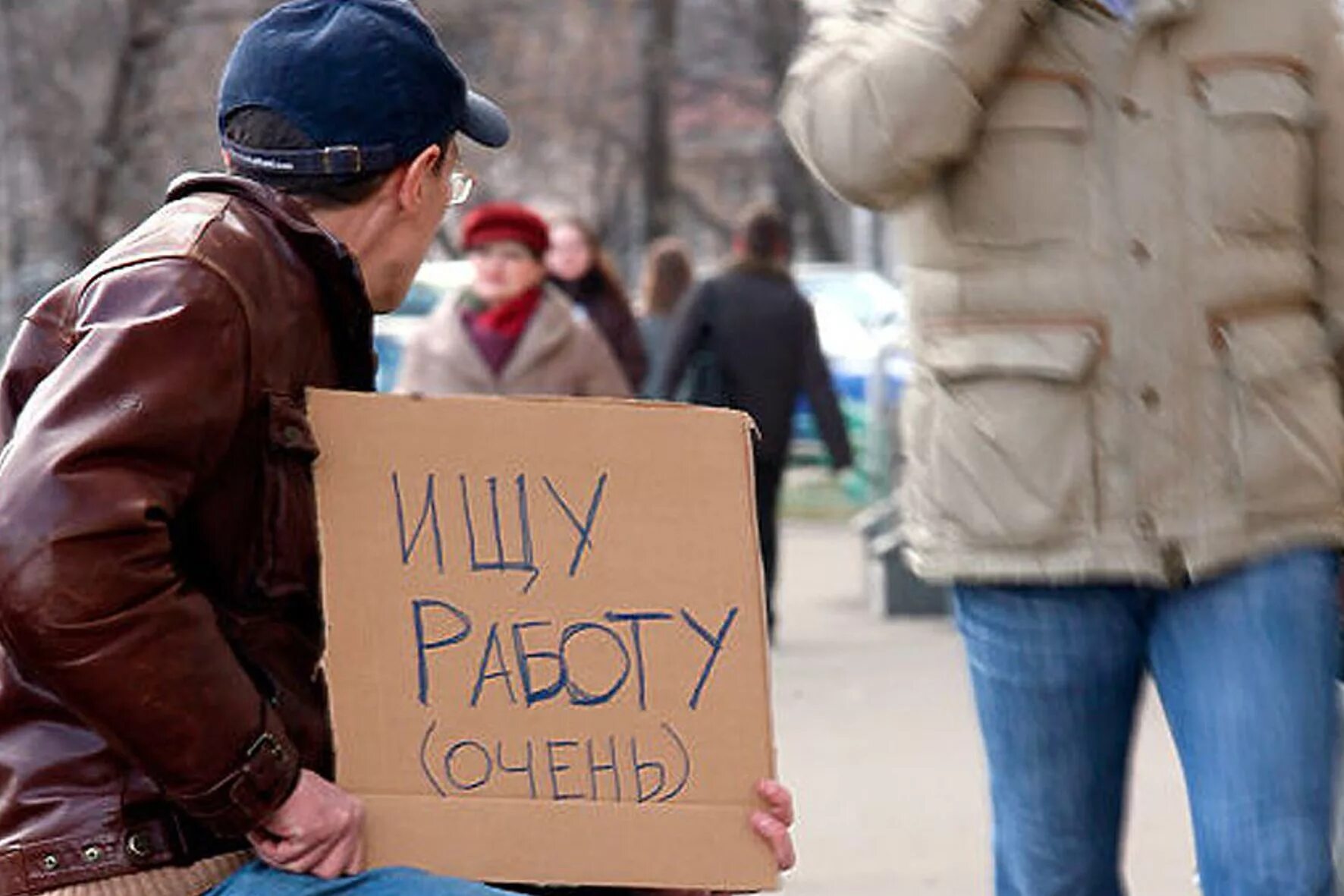 Они ищут работу