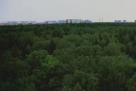 Силино