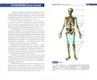 Физиология человека 1