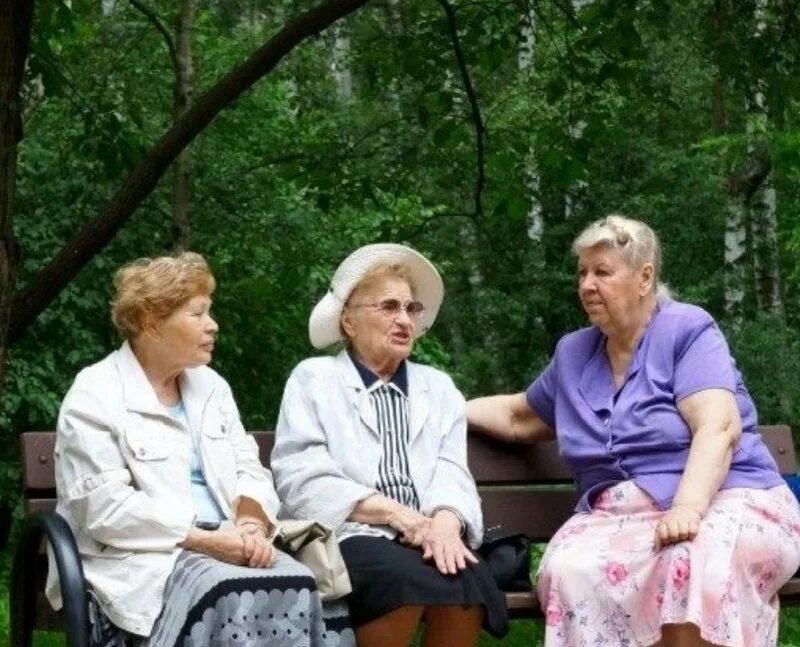 Цсо в торговле. Дубрава 12 пансионат для пожилых. Скандинавская ходьба долголетие. Пенсионеры. Карта пенсионера.