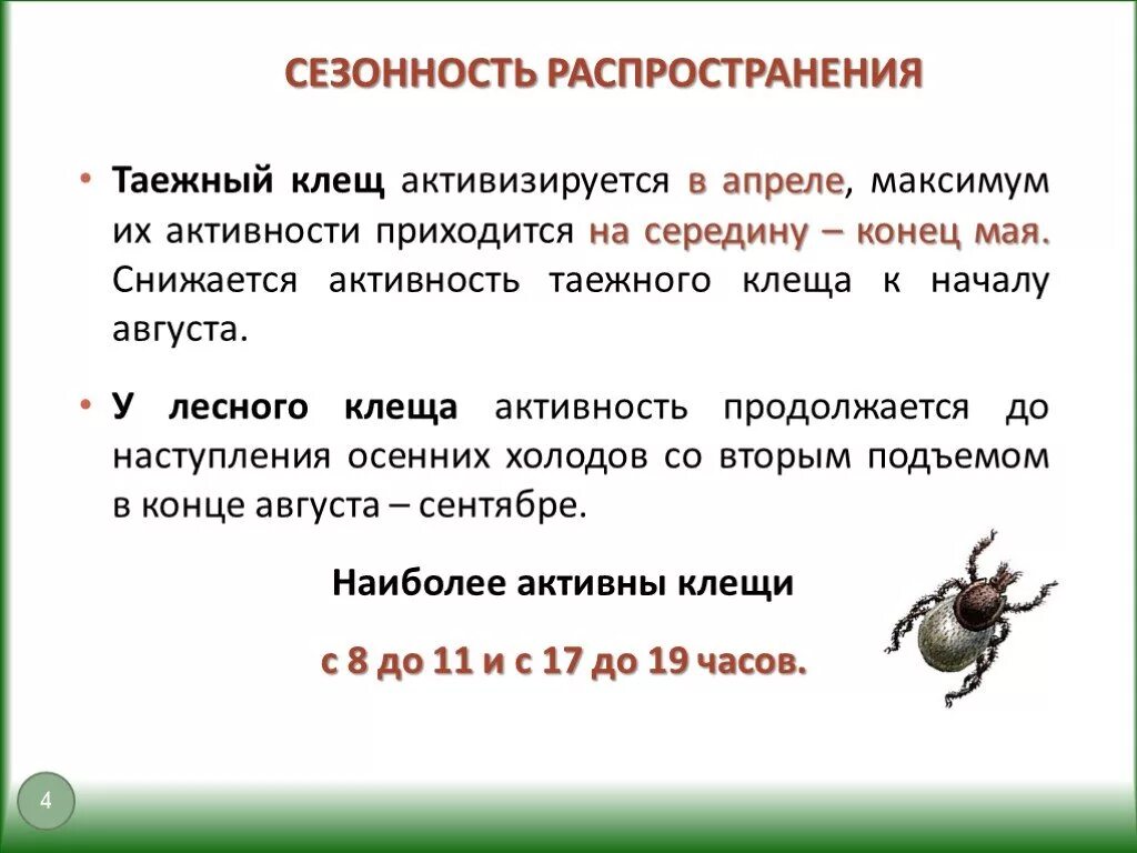 Клещи информация