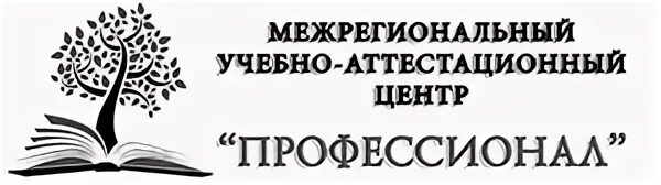 Профессионал учебный
