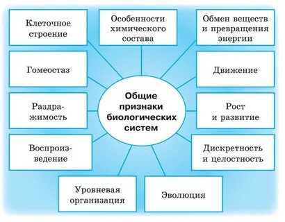 Признаки понятия биологическая система