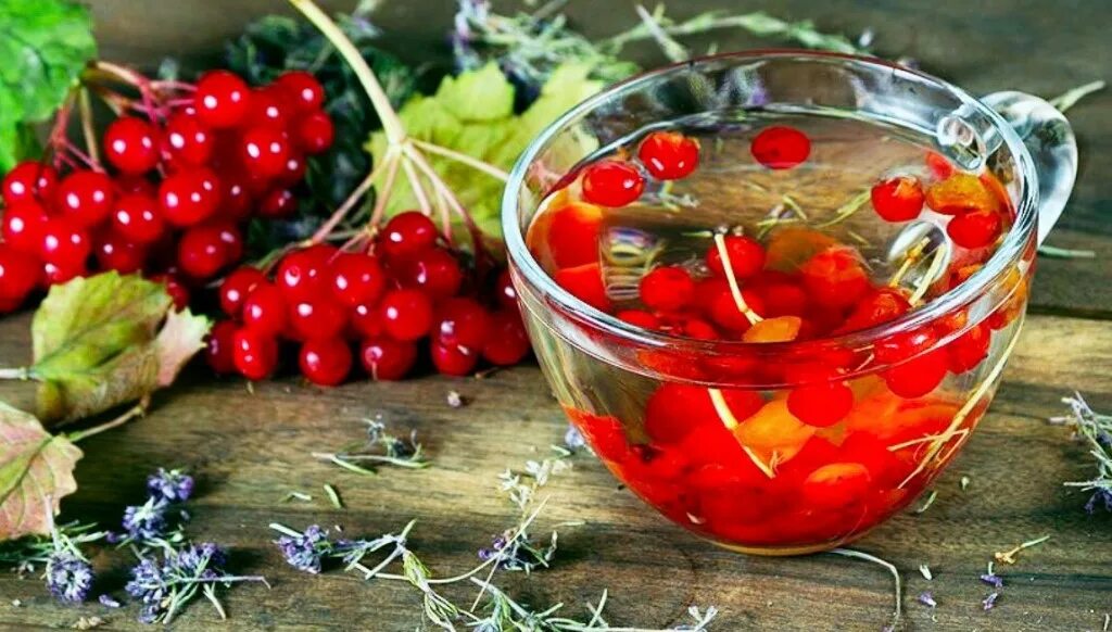 калина красная чай. чай из калины на прозрачном фоне. отвар калины. настой калины. чай с калиной.