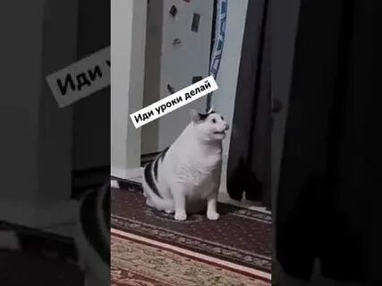 Опять тик ток