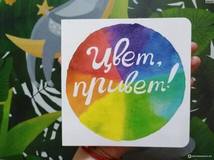 Цвет привет