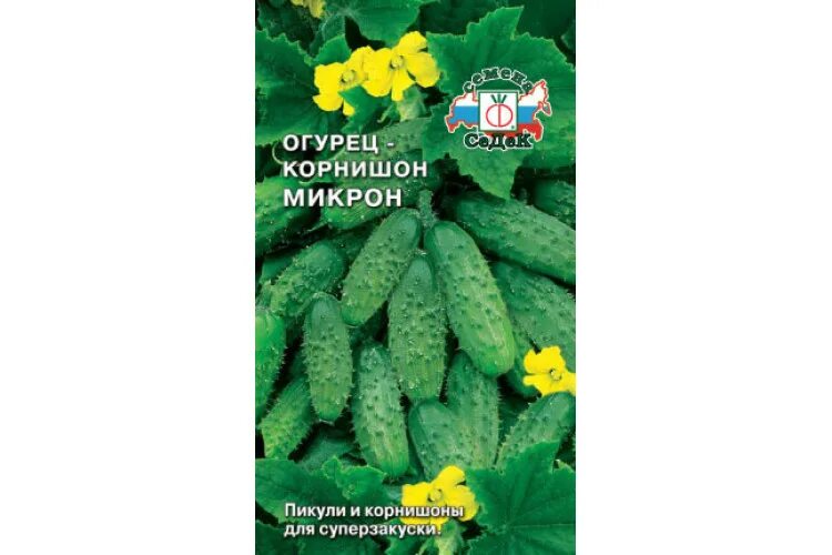 Огурец мини корнишон микрон. Огурец микрон СЕДЕК Ц. Огурец Парижский корнишон. Гавриш Seminis огурец Магдалена f1 5 шт. Парижский корнишон фото