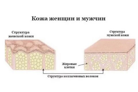 Доброкачественных новообразований подкожно жировой клетчатки