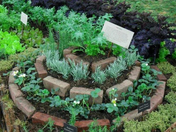 16 Favorite Raised Bed Designs Building a raised garden, Planting herbs, Backyar