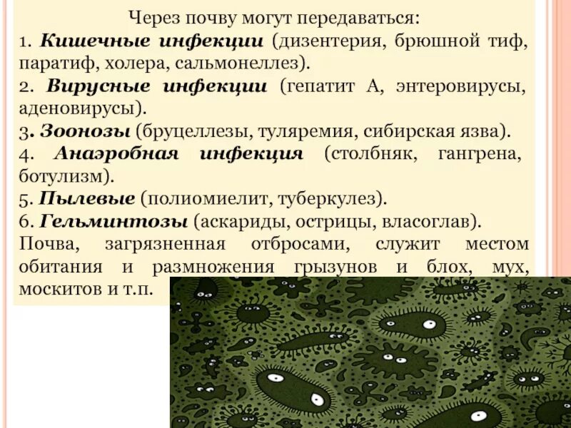 Почва является фактором передачи заболеваний